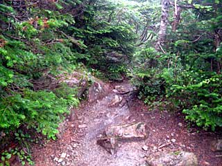 �F�̕������`�k�r��x�`�����x�`���������`�O�������� | ��A���v�X�����x�c��