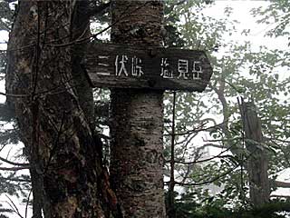 �F�̕������`�k�r��x�`�����x�`���������`�O�������� | ��A���v�X�����x�c��