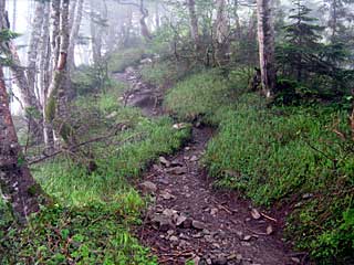 �F�̕������`�k�r��x�`�����x�`���������`�O�������� | ��A���v�X�����x�c��