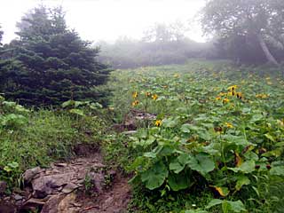 �F�̕������`�k�r��x�`�����x�`���������`�O�������� | ��A���v�X�����x�c��