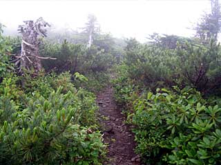 �F�̕������`�k�r��x�`�����x�`���������`�O�������� | ��A���v�X�����x�c��