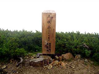 �F�̕������`�k�r��x�`�����x�`���������`�O�������� | ��A���v�X�����x�c��