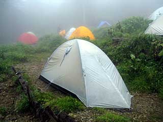 �F�̕������`�k�r��x�`�����x�`���������`�O�������� | ��A���v�X�����x�c��