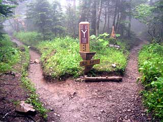 �F�̕������`�k�r��x�`�����x�`���������`�O�������� | ��A���v�X�����x�c��