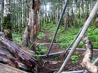 �O���������`���q�ѓ� | ��A���v�X�����x�c��