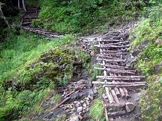 �O���������`���q�ѓ� | ��A���v�X�����x�c��