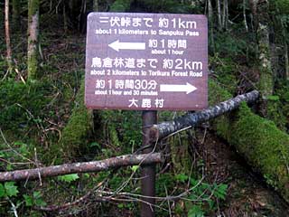 �O���������`���q�ѓ� | ��A���v�X�����x�c��