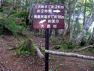 �O���������`���q�ѓ� | ��A���v�X�����x�c��