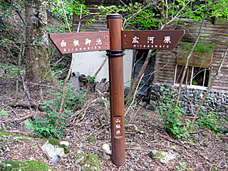 �L�͌��`�񖓁`������r���� | ��A���v�X����O�R�c��