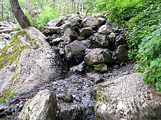 �L�͌��`�񖓁`������r���� | ��A���v�X����O�R�c��