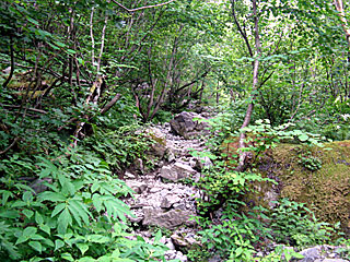 �L�͌��`�񖓁`������r���� | ��A���v�X����O�R�c��