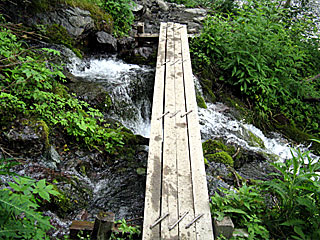 �L�͌��`�񖓁`������r���� | ��A���v�X����O�R�c��