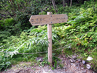 �L�͌��`�񖓁`������r���� | ��A���v�X����O�R�c��