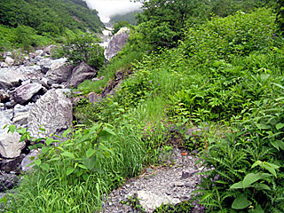 �L�͌��`�񖓁`������r���� | ��A���v�X����O�R�c��