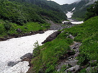 �L�͌��`�񖓁`������r���� | ��A���v�X����O�R�c��