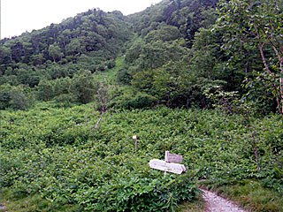 ������r�����`���̏����`�k�x�`�ԃm�x�`�_������ | ��A���v�X����O�R�c��