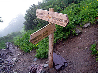 ������r�����`���̏����`�k�x�`�ԃm�x�`�_������ | ��A���v�X����O�R�c��