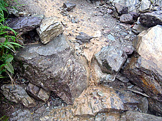 ������r�����`���̏����`�k�x�`�ԃm�x�`�_������ | ��A���v�X����O�R�c��