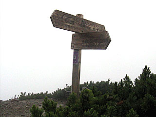 ������r�����`���̏����`�k�x�`�ԃm�x�`�_������ | ��A���v�X����O�R�c��