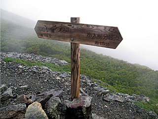 ������r�����`���̏����`�k�x�`�ԃm�x�`�_������ | ��A���v�X����O�R�c��