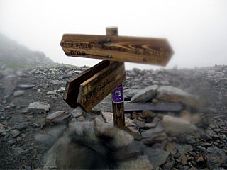 ������r�����`���̏����`�k�x�`�ԃm�x�`�_������ | ��A���v�X����O�R�c��