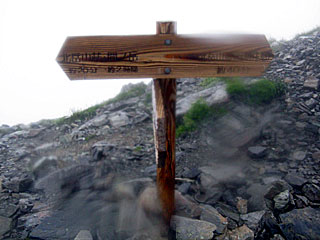 ������r�����`���̏����`�k�x�`�ԃm�x�`�_������ | ��A���v�X����O�R�c��