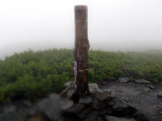 ������r�����`���̏����`�k�x�`�ԃm�x�`�_������ | ��A���v�X����O�R�c��