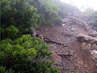 �_�������`�_���x�`���򏬉��`�ޗǓc���� | ��A���v�X����O�R�c��