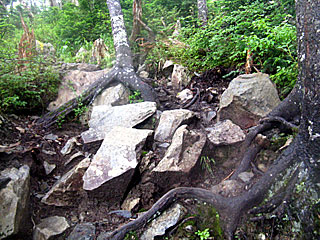 �_�������`�_���x�`���򏬉��`�ޗǓc���� | ��A���v�X����O�R�c��