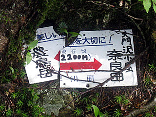 �_�������`�_���x�`���򏬉��`�ޗǓc���� | ��A���v�X����O�R�c��