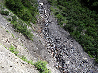 �_�������`�_���x�`���򏬉��`�ޗǓc���� | ��A���v�X����O�R�c��