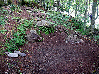 �_�������`�_���x�`���򏬉��`�ޗǓc���� | ��A���v�X����O�R�c��