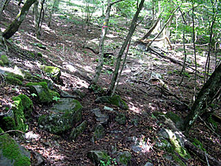 �_�������`�_���x�`���򏬉��`�ޗǓc���� | ��A���v�X����O�R�c��