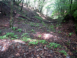 �_�������`�_���x�`���򏬉��`�ޗǓc���� | ��A���v�X����O�R�c��