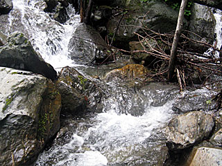 �_�������`�_���x�`���򏬉��`�ޗǓc���� | ��A���v�X����O�R�c��