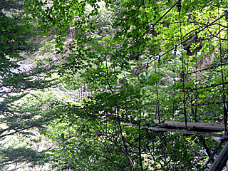 �_�������`�_���x�`���򏬉��`�ޗǓc���� | ��A���v�X����O�R�c��